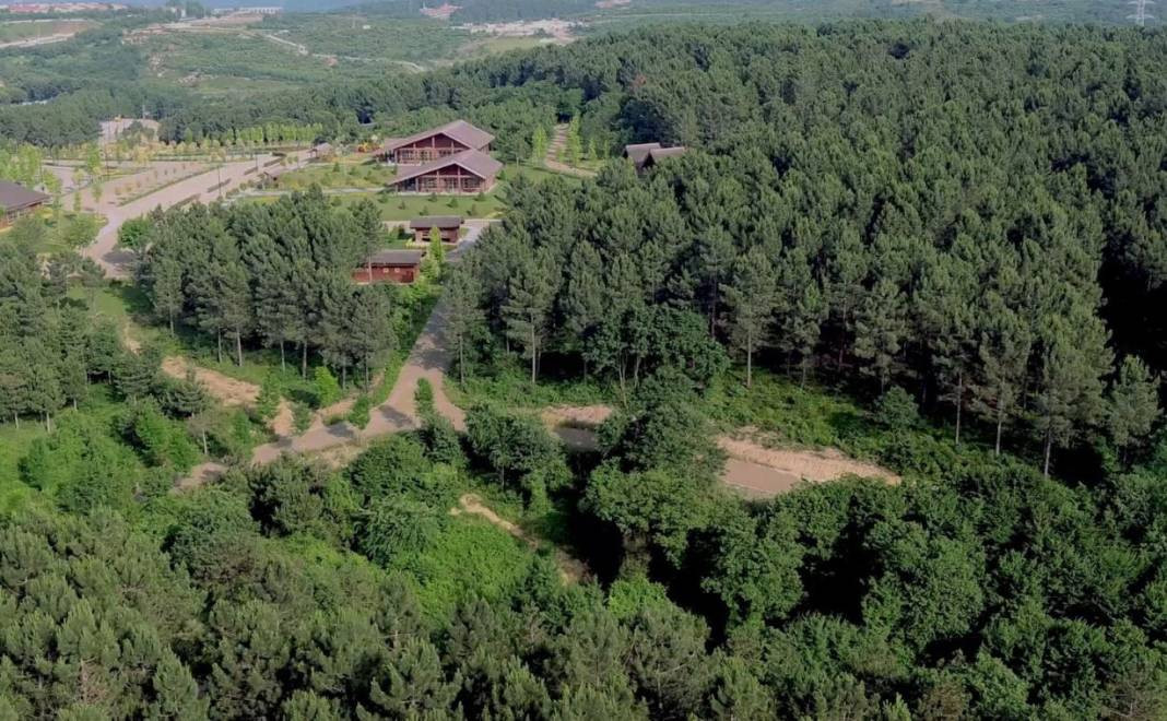 Tam 27 ilde resmen yasaklandı! Ormanlara giremeyeceksiniz - Resim: 6